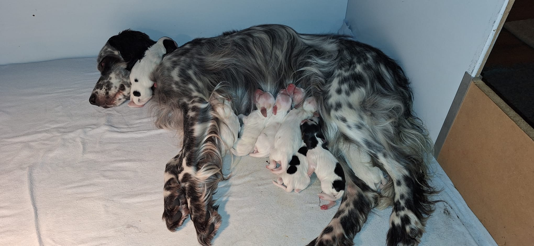 WhatsApp Image 2023 10 24 at 10.31.49